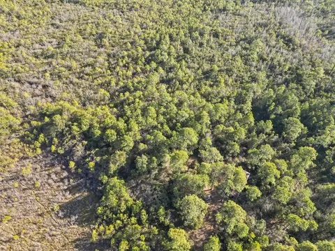 tbd Sugar Bowl Ln, Longs, SC 29568 photo 5