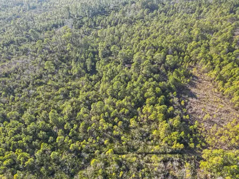 tbd Sugar Bowl Ln, Longs, SC 29568 photo 2