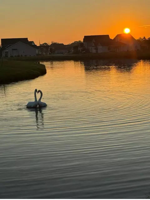 Other - 1479 Coventry Rd, Surfside Beach, SC 29575 photo 6 of 7