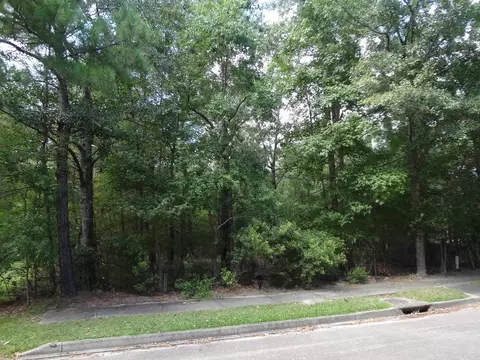 112 Duany Dr, Georgetown, SC 29440