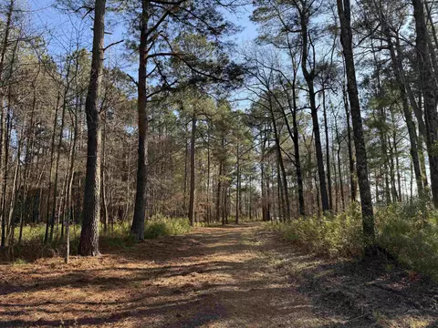 23 30acres-tbd Dainty Ave, Kingstree, SC 29556