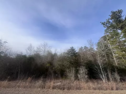 tbd Retired Ave, Marion, SC 29571