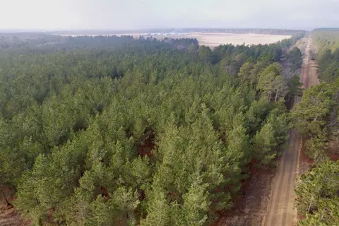 25 93acres-4567 Dunham Rd, Bethune, SC 29009 photo 13