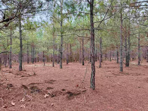 25 93acres-4567 Dunham Rd, Bethune, SC 29009 photo 15