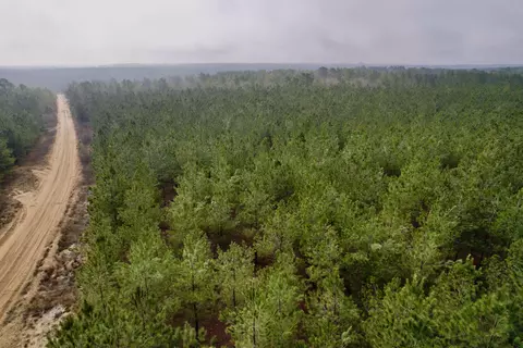 25 93acres-4567 Dunham Rd, Bethune, SC 29009 photo 11