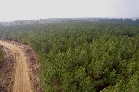 25 93acres-4567 Dunham Rd, Bethune, SC 29009 photo 12