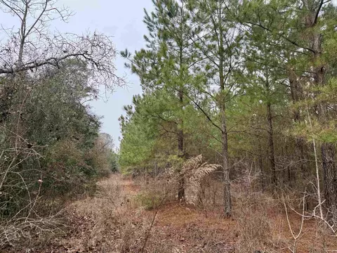 25 93acres-4567 Dunham Rd, Bethune, SC 29009 photo 17