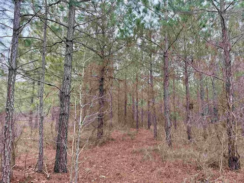 25 93acres-4567 Dunham Rd, Bethune, SC 29009 photo 18