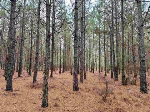 25 93acres-4567 Dunham Rd, Bethune, SC 29009 photo 14