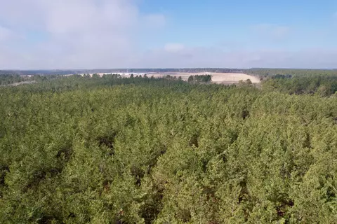 25 93acres-4567 Dunham Rd, Bethune, SC 29009 photo 4