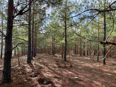 25 93acres-4567 Dunham Rd, Bethune, SC 29009 photo 5