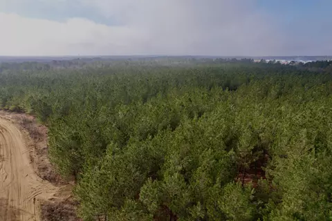25 93acres-4567 Dunham Rd, Bethune, SC 29009 photo 7