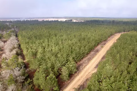 25 93acres-4567 Dunham Rd, Bethune, SC 29009