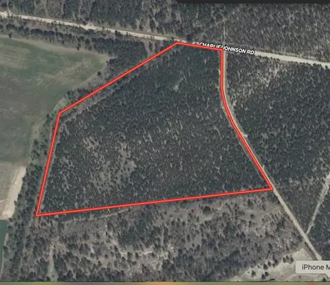 25 93acres-4567 Dunham Rd, Bethune, SC 29009 photo 19