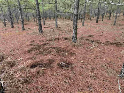 25 93acres-4567 Dunham Rd, Bethune, SC 29009 photo 16