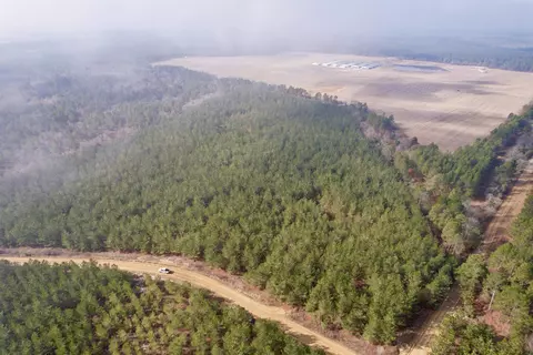 25 93acres-4567 Dunham Rd, Bethune, SC 29009 photo 3