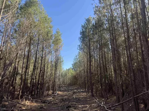 8862 Ware Dr, Nichols, SC 29581