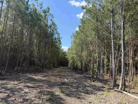 8862 Ware Dr, Nichols, SC 29581
