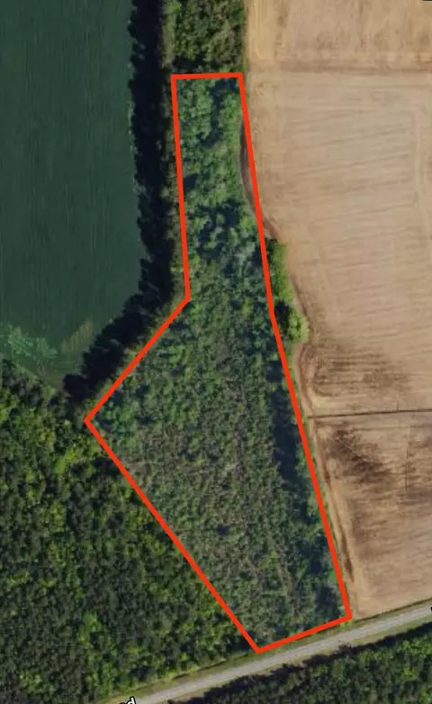 tbd Pinckney Rd, Nichols, SC 29581