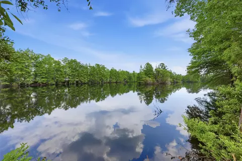 View/Area - 664 Goretown Loop, Loris, SC 29569 photo 1 of 11