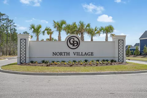 View/Area - 9000 Mabel Ct, Longs, SC 29568 photo 5 of 12