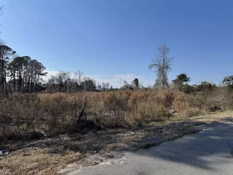 5 77 Acres Three Curve Rd, Loris, SC 29569 photo 6