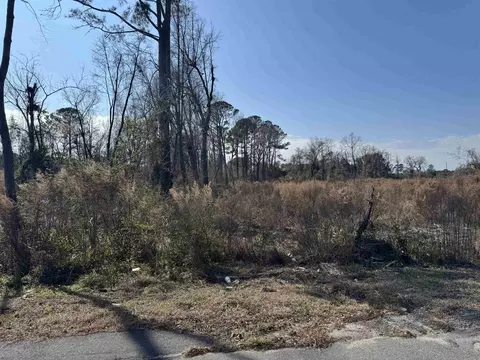 5 77 Acres Three Curve Rd, Loris, SC 29569 photo 5
