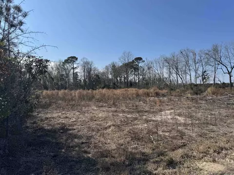5 77 Acres Three Curve Rd, Loris, SC 29569