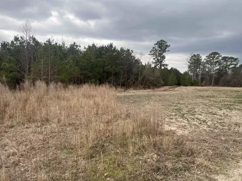 Centerville Rd., Latta, SC 29565 photo 7