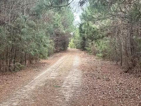 Centerville Rd., Latta, SC 29565 photo 9