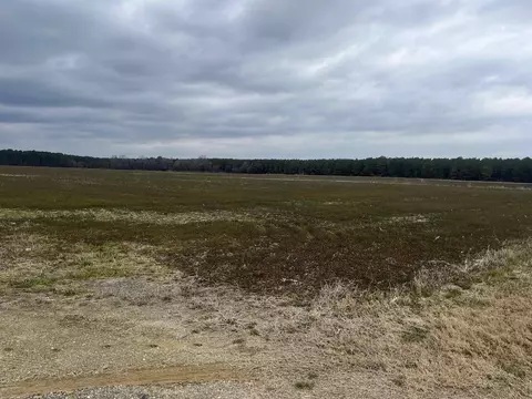 Centerville Rd., Latta, SC 29565 photo 3