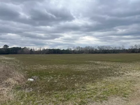 Centerville Rd., Latta, SC 29565 photo 4