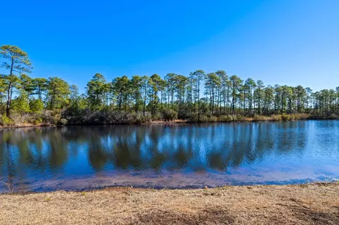 View/Area - 877 Wild Leaf Loop, Conway, SC 29526 photo 2 of 7
