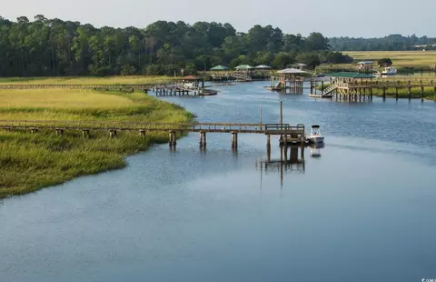 View/Area - 956 Williston Loop #956, Murrells Inlet, SC 29576 photo 6 of 9