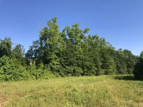 tbd Vantage Ln, Moncks Corner, SC 29461 photo 10