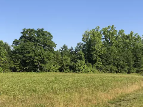 tbd Vantage Ln, Moncks Corner, SC 29461 photo 9