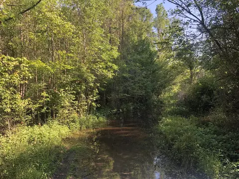 tbd Vantage Ln, Moncks Corner, SC 29461 photo 11