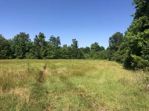tbd Vantage Ln, Moncks Corner, SC 29461 photo 12