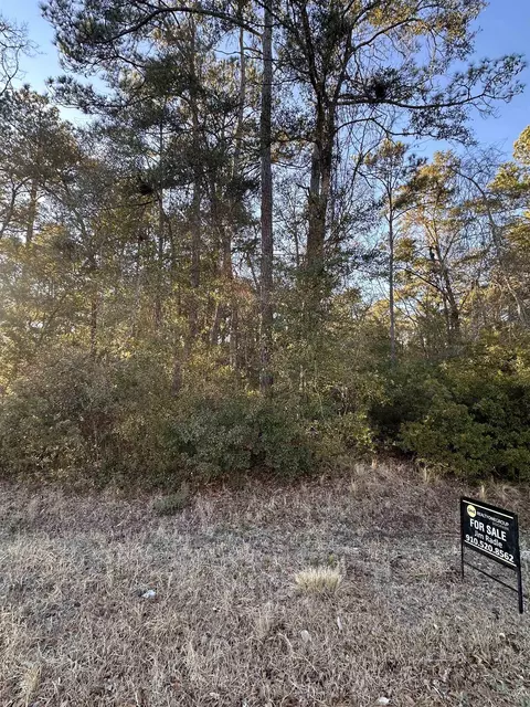Petigru Dr., Pawleys Island, SC 29585