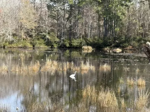 2259 Python Cir, Conway, SC 29526 photo 22