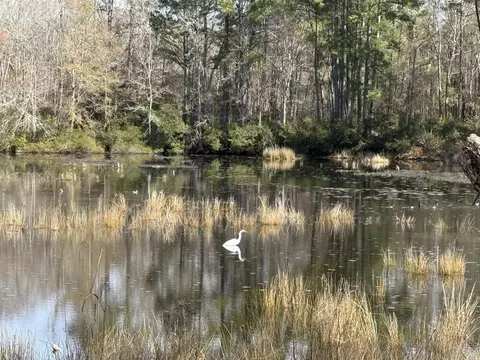 2259 Python Cir, Conway, SC 29526 photo 22