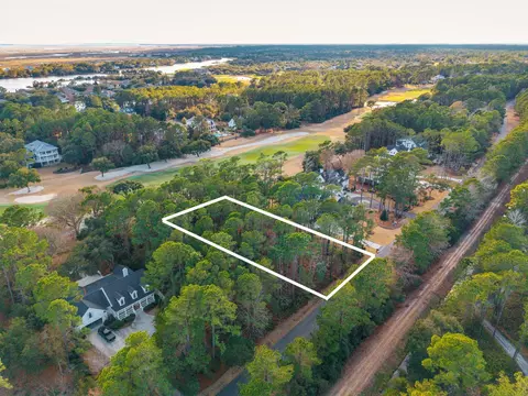 lot320 Wallace Pate Dr, Georgetown, SC 29440 photo 5