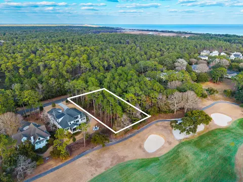 lot320 Wallace Pate Dr, Georgetown, SC 29440 photo 3