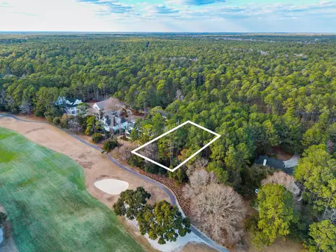 lot320 Wallace Pate Dr, Georgetown, SC 29440 photo 4