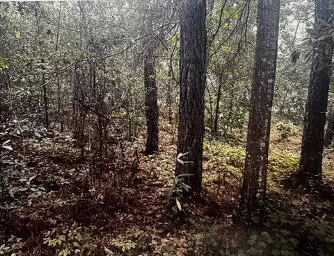 4563 S Island Rd, Georgetown, SC 29440