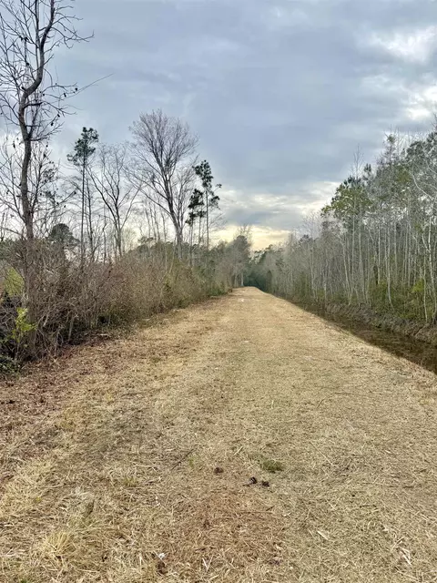tbd Pint Cir, Longs, SC 29568 photo 3