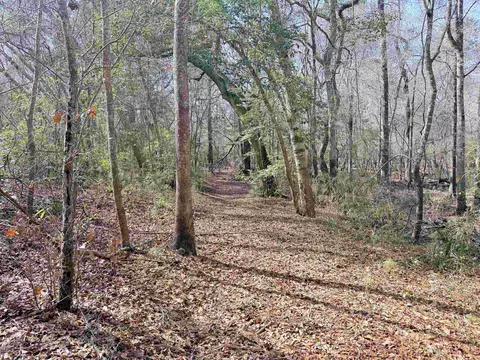 9 25 Acres Highway 9, Longs, SC 29568 photo 14