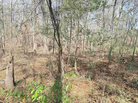 9 25 Acres Highway 9, Longs, SC 29568 photo 15