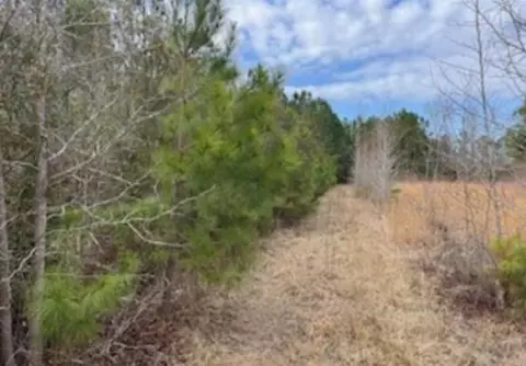 791 Moulds Rd, Lake City, SC 29560