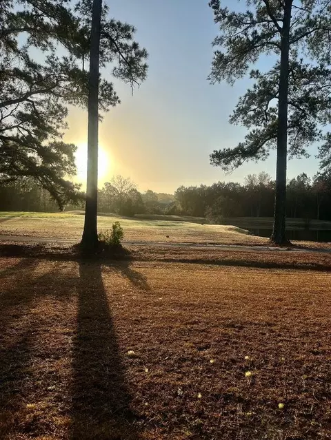 View/Area - 715 Gryffindor Dr, Longs, SC 29568 photo 10 of 10